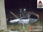 Auto uderzyło w drzewo - zginął pasażer
